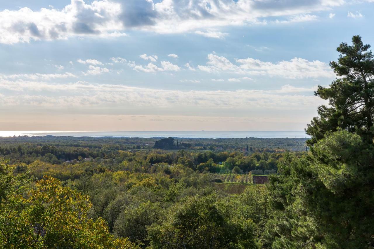 Villa Sterpazzi - Near Porec With Sea View, Private Jacuzzi, Sauna And Pool Вишнян Экстерьер фото